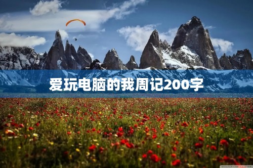 爱玩电脑的我周记200字 爱玩电脑的我周记200字