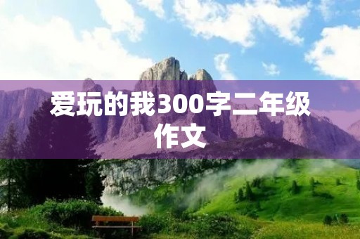 爱玩的我300字二年级作文