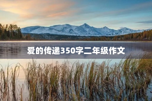 爱的传递350字二年级作文
