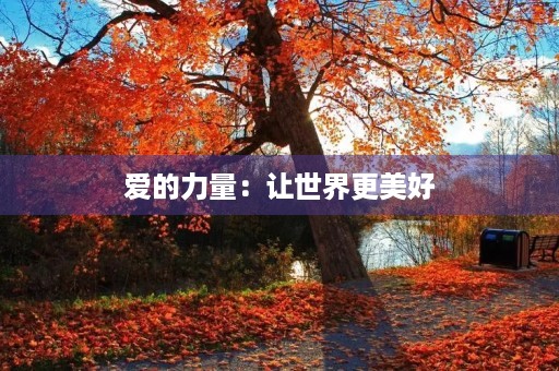 爱的力量：让世界更美好