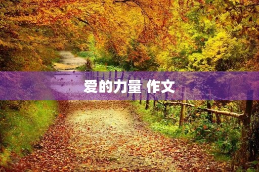 爱的力量 作文