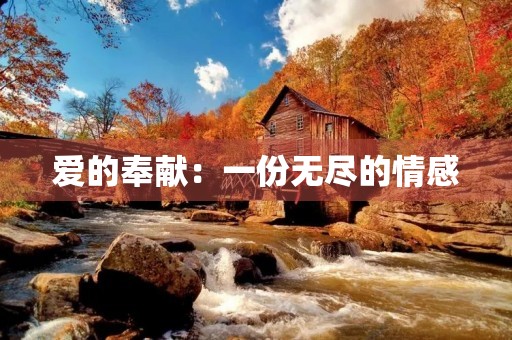 爱的奉献:一份无尽的情感 爱的奉献:一份无尽的情感