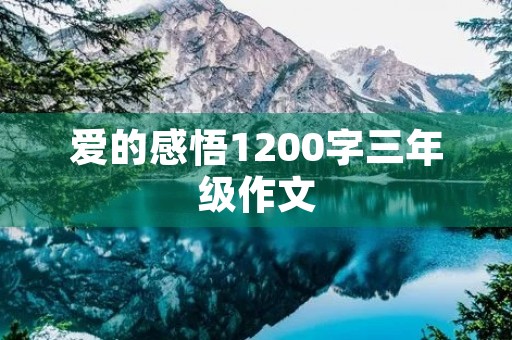 爱的感悟1200字三年级作文