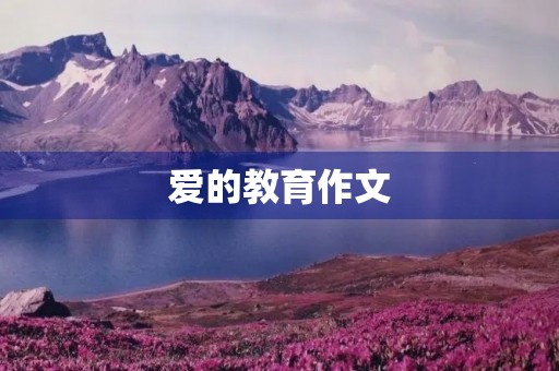 爱的教育作文 爱的教育作文