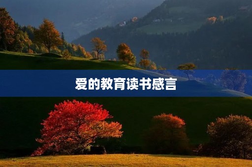 爱的教育读书感言