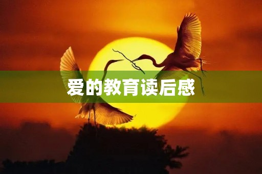 爱的教育读后感 爱的教育读后感
