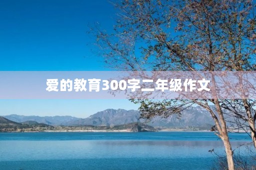 爱的教育300字二年级作文