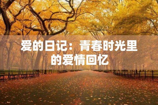 爱的日记：青春时光里的爱情回忆