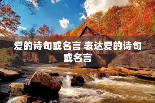 爱的诗句或名言 表达爱的诗句或名言