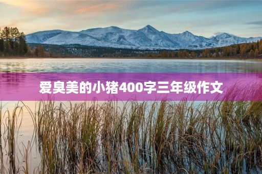 爱臭美的小猪400字三年级作文