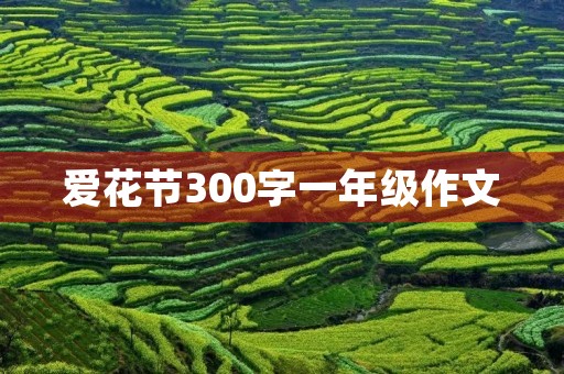 爱花节300字一年级作文