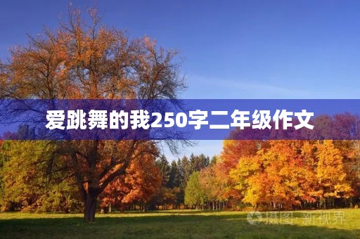 爱跳舞的我250字二年级作文