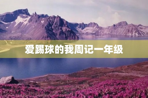 爱踢球的我周记一年级 爱踢球的我周记一年级