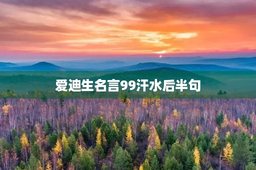 爱迪生名言99汗水后半句(爱迪生名言99汗水原句) 爱迪生名言99汗水后半句(爱迪生名言99汗水原句)