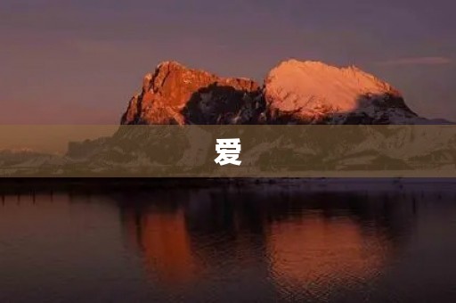 爱,是人类最美好的情感 爱,是人类最美好的情感