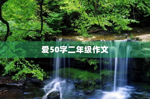爱50字二年级作文