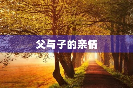 父与子的亲情 父与子的亲情