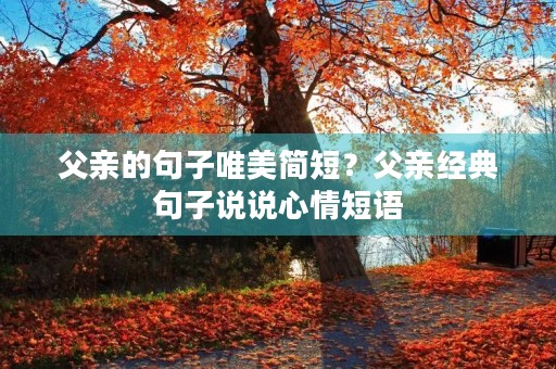 父亲的句子唯美简短？父亲经典句子说说心情短语