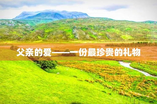 父亲的爱——一份最珍贵的礼物
