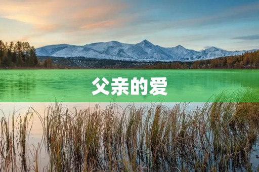 父亲的爱,永恒不变 父亲的爱,永恒不变