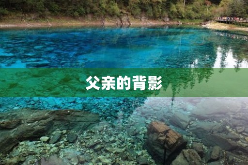 父亲的背影