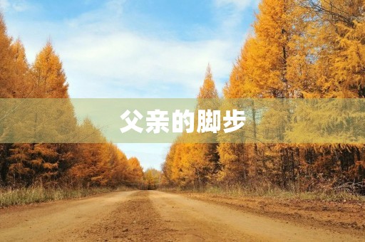 父亲的脚步