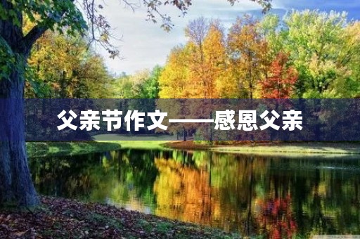 父亲节作文——感恩父亲 父亲节作文——感恩父亲