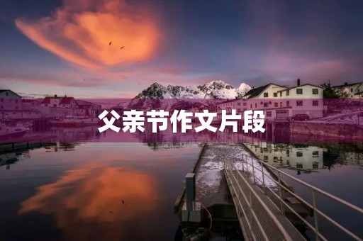 父亲节作文片段 父亲节作文片段
