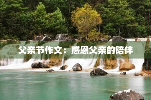 父亲节作文:感恩父亲的陪伴 父亲节作文:感恩父亲的陪伴