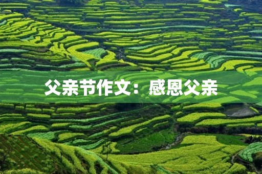父亲节作文:感恩父亲,传承爱的力量 父亲节作文:感恩父亲,传承爱的力量