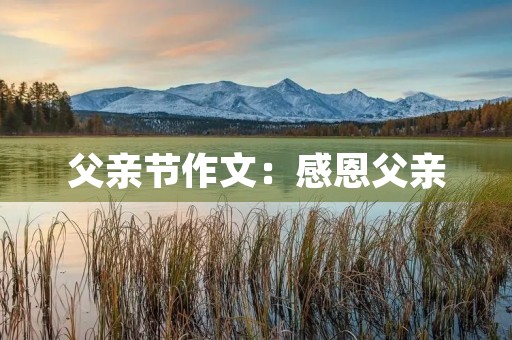 父亲节作文:感恩父亲,永远陪伴 父亲节作文:感恩父亲,永远陪伴