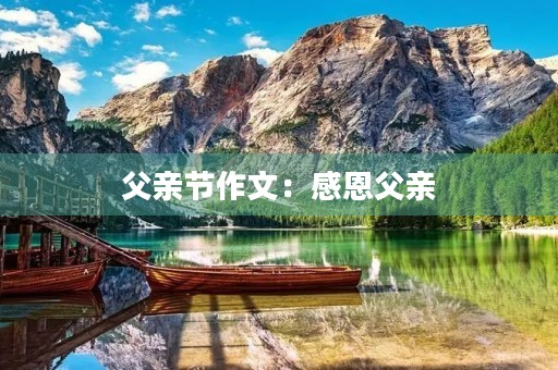 父亲节作文:感恩父亲,用心陪伴 父亲节作文:感恩父亲,用心陪伴