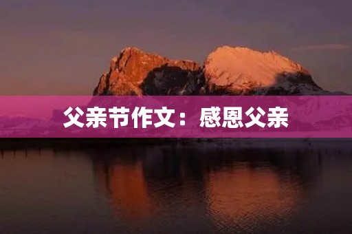 父亲节作文：感恩父亲，用行动回报
