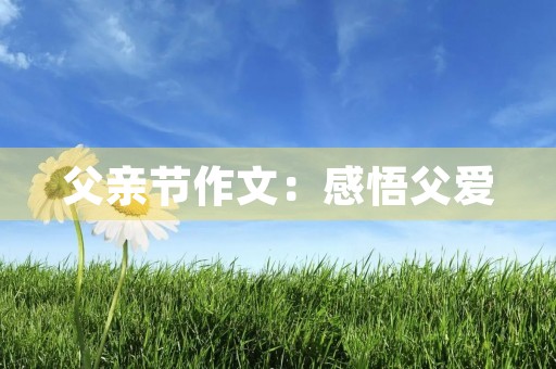 父亲节作文：感悟父爱
