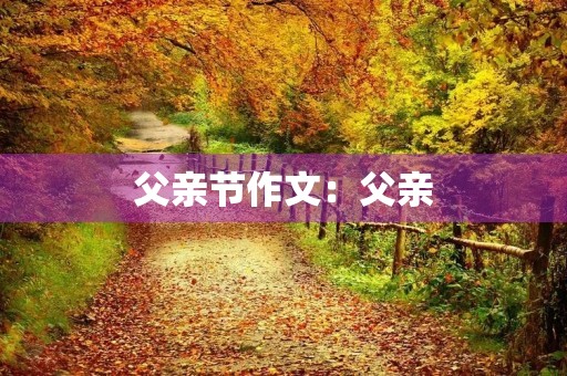 父亲节作文：父亲，我想对您说