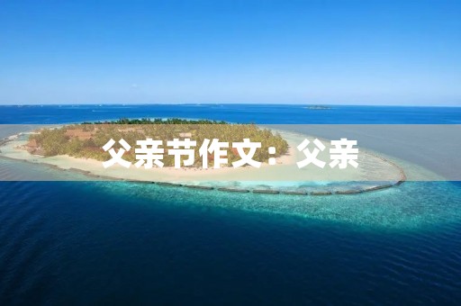 父亲节作文：父亲，我的依靠