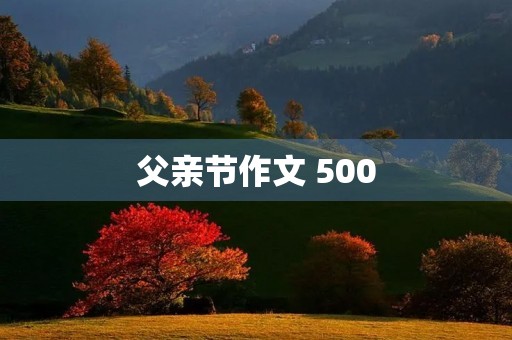 父亲节作文 500 父亲节作文 500