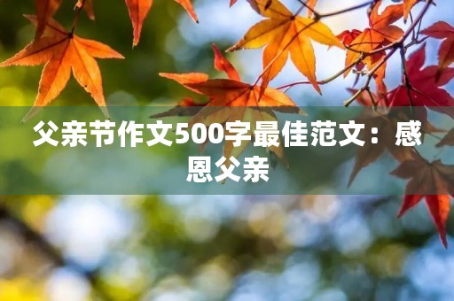 父亲节作文500字最佳范文:感恩父亲,永远怀念 父亲节作文500字最佳范文:感恩父亲,永远怀念