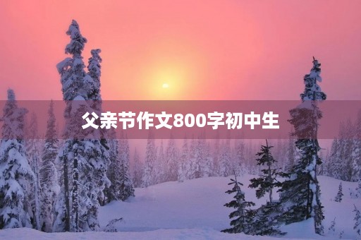 父亲节作文800字初中生