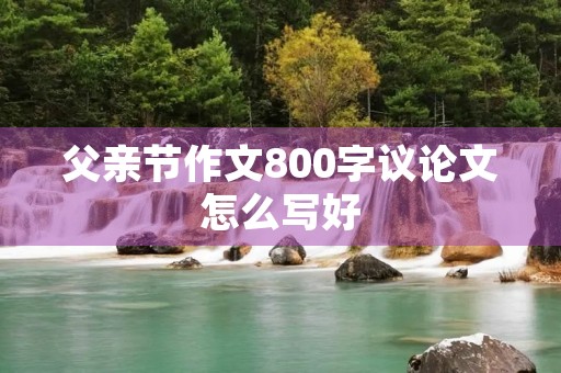 父亲节作文800字议论文怎么写好