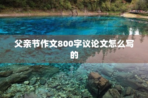 父亲节作文800字议论文怎么写的 父亲节作文800字议论文怎么写的