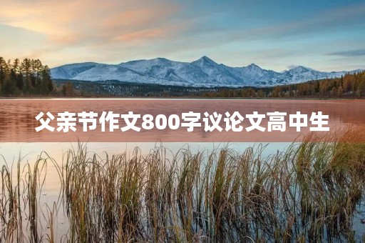 父亲节作文800字议论文高中生 父亲节作文800字议论文高中生