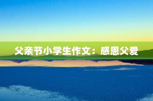 父亲节小学生作文：感恩父爱