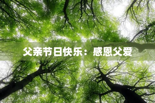 父亲节日快乐：感恩父爱