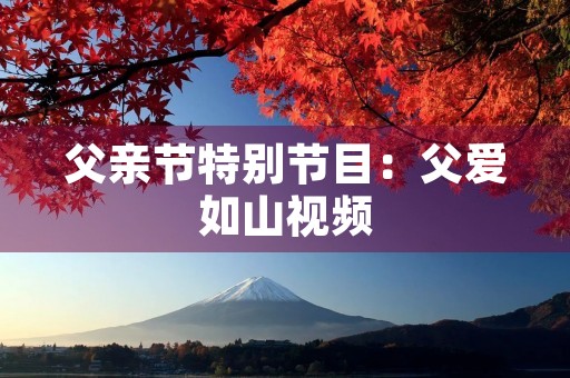 父亲节特别节目:父爱如山视频
