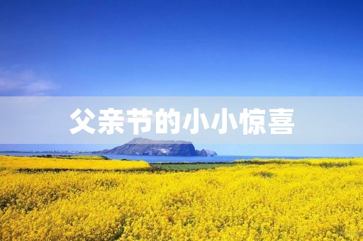 父亲节的小小惊喜 父亲节的小小惊喜
