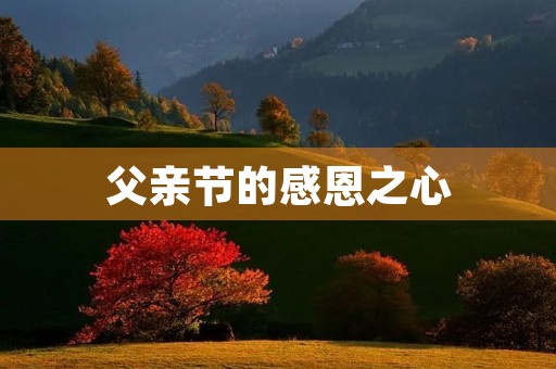父亲节的感恩之心