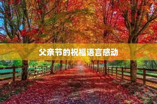 父亲节的祝福语言感动