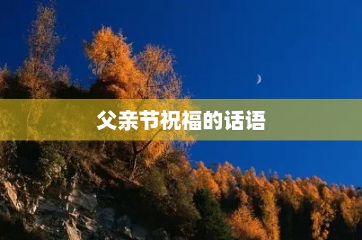父亲节祝福的话语