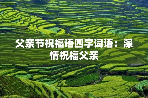 父亲节祝福语四字词语:深情祝福父亲 父亲节祝福语四字词语:深情祝福父亲